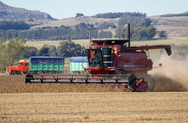 El Gobierno argentino anunció el sábado el aumento del 31% al 33% de los aranceles a la exportación de harina y aceite de soja y la creación de un Fondo Estabilizador de Trigo. En imagen, plantío de Soja en Balcarse, provincia de Bueno Aires, Argentina. Foto: iStock 