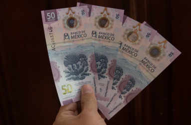 Banxico puso en circulación desde hace algunos meses un nuevo billete de 50 pesos que trae en su reverso al ajolote, un animalito que ha desatado furor a nivel mundial. Foto: Cuartoscuro