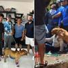 ¡Tiene un nuevo hogar! Adoptan a perrito que defendió a mujer linchada en Taxco 