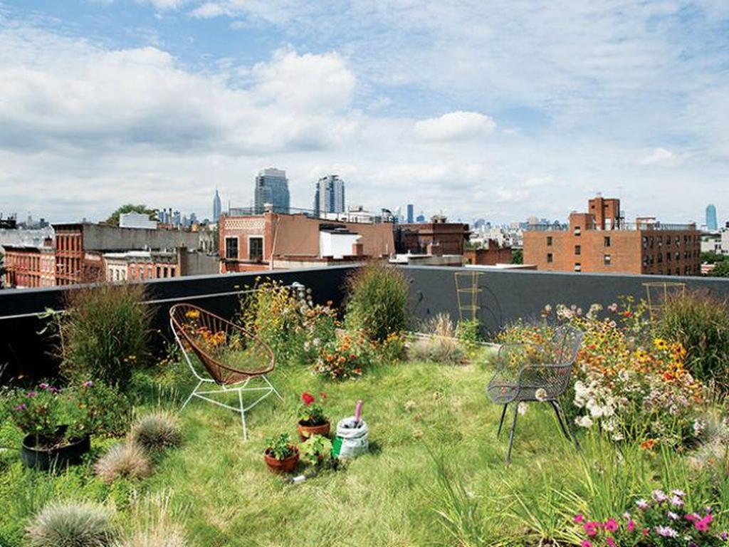 El techo verde de esta casa ubicada en Brooklyn absorbe el agua de lluvia. Foto: Fast Company