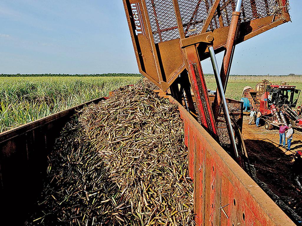 La industria azucarera mexicana produjo en 2013 más de 2.6 millones de toneladas del edulcorante, de las cuales exportó a Estados Unidos 2.3 millones de toneladas.  Foto: AFP