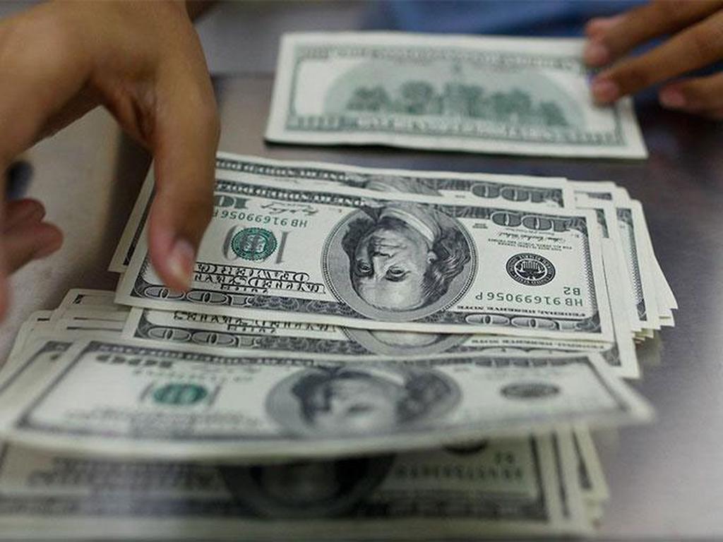 A la compra el dólar concluyó la jornada cambiaria en 12.48 pesos. Foto: Photos.com