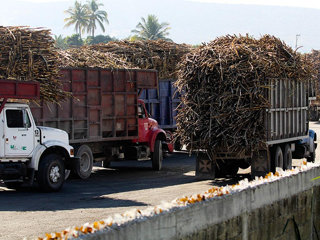 El Departamento de Comercio de Estados Unidos impuso cuotas compensatorias preliminares, que van de 2.99 a 17.01 por ciento, a las exportaciones de azúcar mexicana. Foto: Cuartoscuro