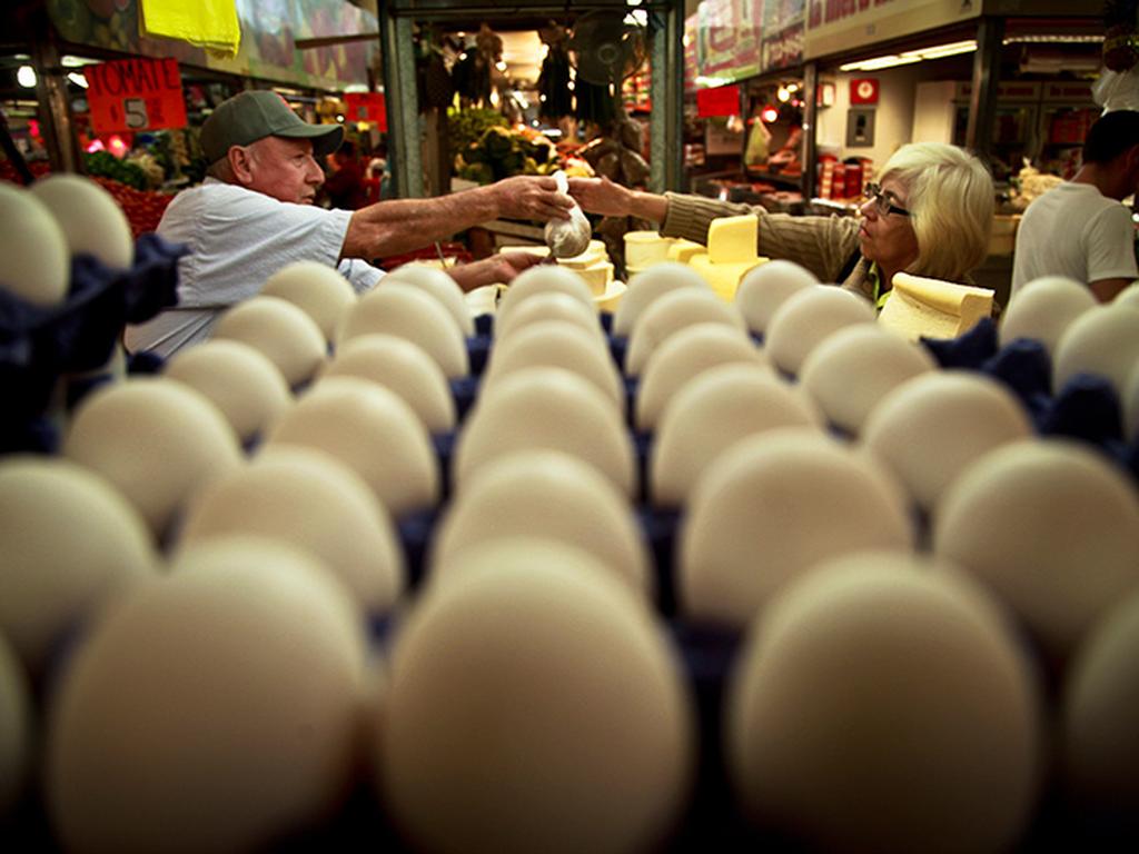 El precio del huevo no ha regresado a los 15 o 17 pesos en que se ubicaba antes de la gripe aviar. Foto: Cuartoscuro