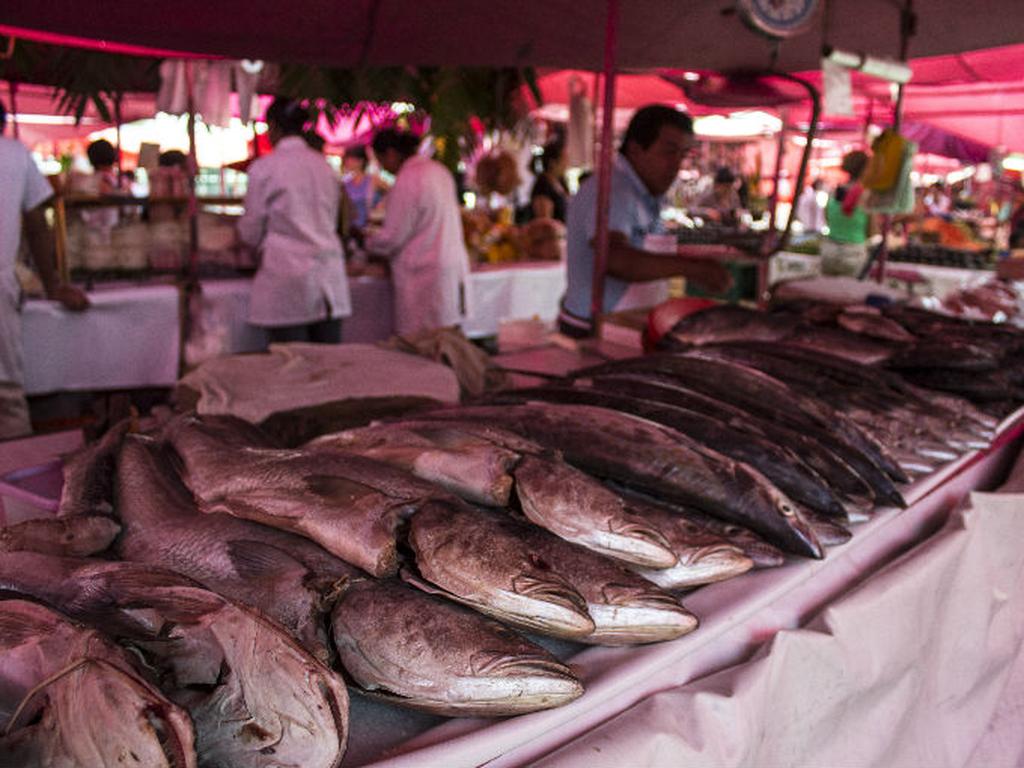 Se trabaja en conjunto con la Procuraduría Federal del Consumidor para garantizar que no haya aumento sustantivo ni arbitrario en los productos pesqueros. Foto: Cuartoscuro.