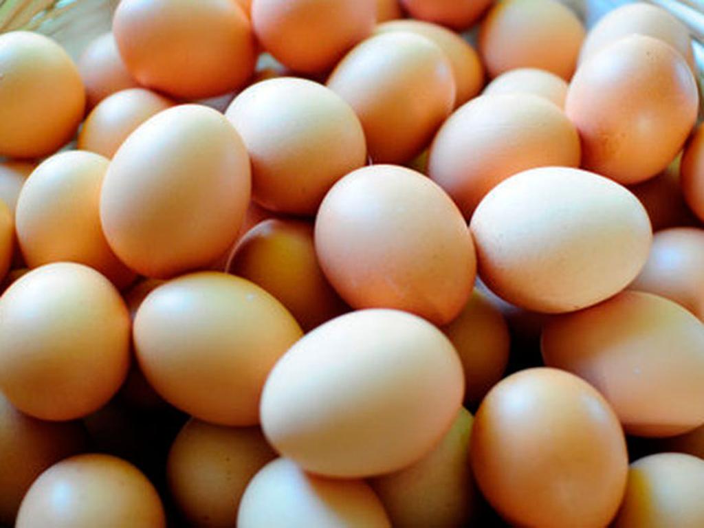 Ricardo Estrada, representante del sector avícola de Jalisco, principal estado productor de huevo, comentó que el precio de huevo al medio mayoreo y mayoreo se ubica a precios accesibles. Foto: Getty