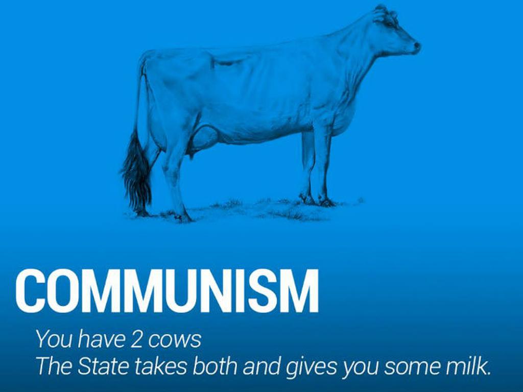Comunismo.- Tienes dos vacas. El Estado se queda con las dos y te da un poco de leche. Foto: Newstalk ZB