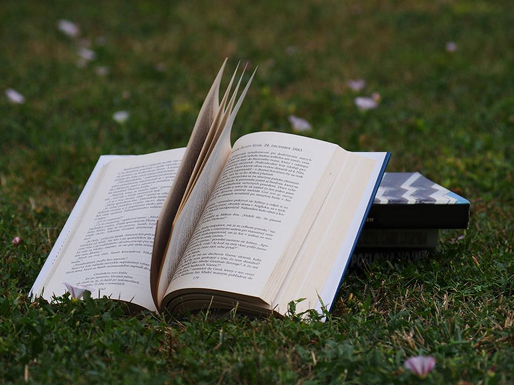 Te invitamos a compartir con nosotros en los comentarios qué otros libros recomendarías. Foto: Pixabay