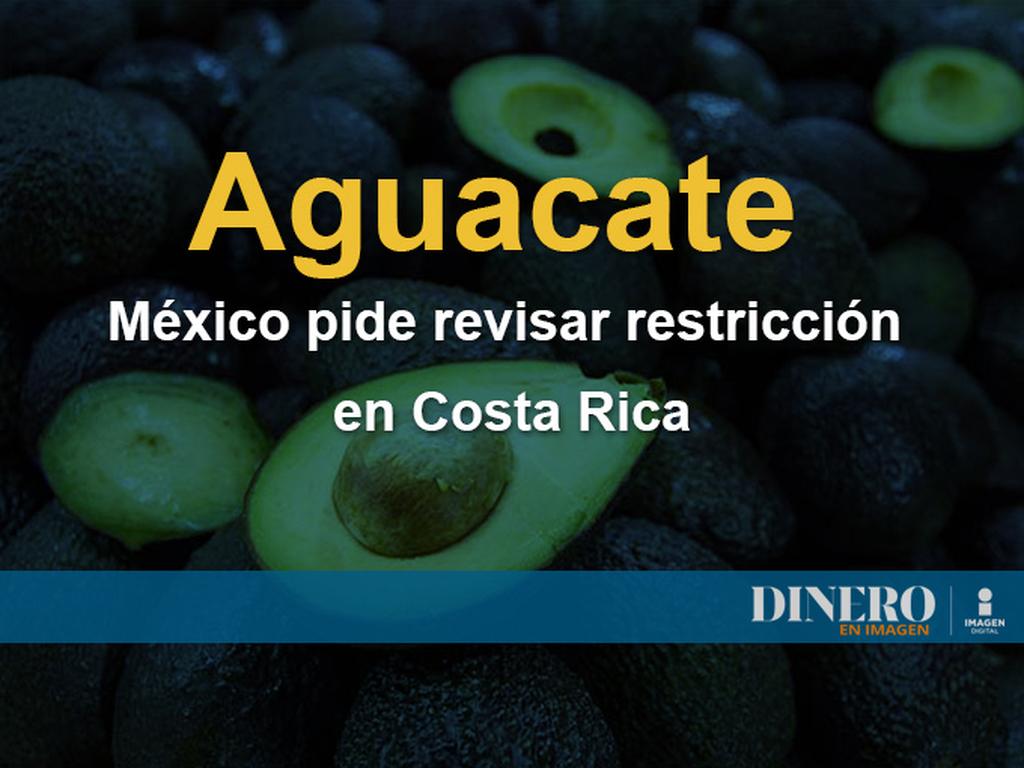 México solicitó formalmente a la Organización Mundial del Comercio el inicio de consultas con Costa Rica ante las restricciones a la importación de aguacate. Foto: Archivo