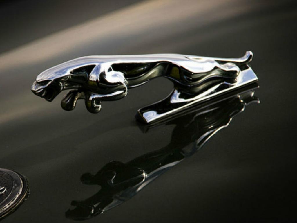Jaguar busca llevarse al mejor talento del mundo para trabajar en Reino Unido. Foto: Foter.