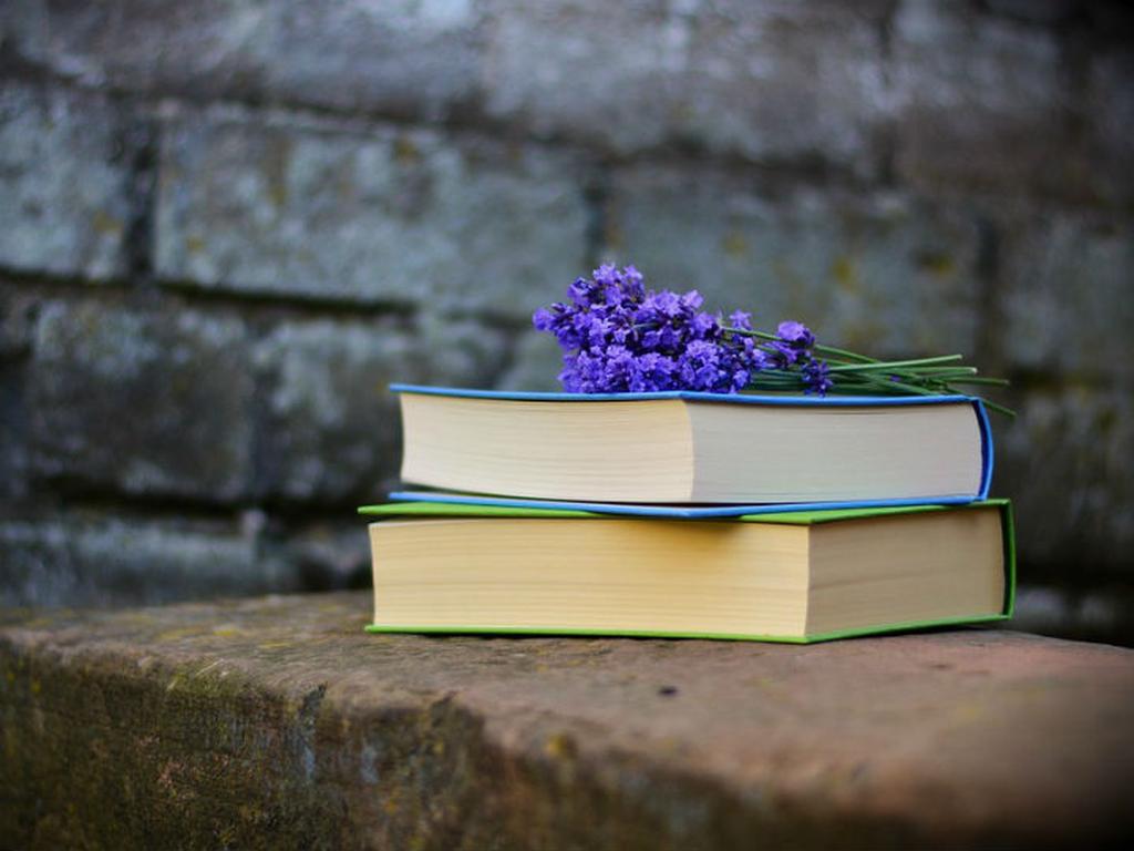 Te presentamos dos libros que te ayudarán en tan ardua tarea, pero sin dañar tu entorno. Foto: Pixabay