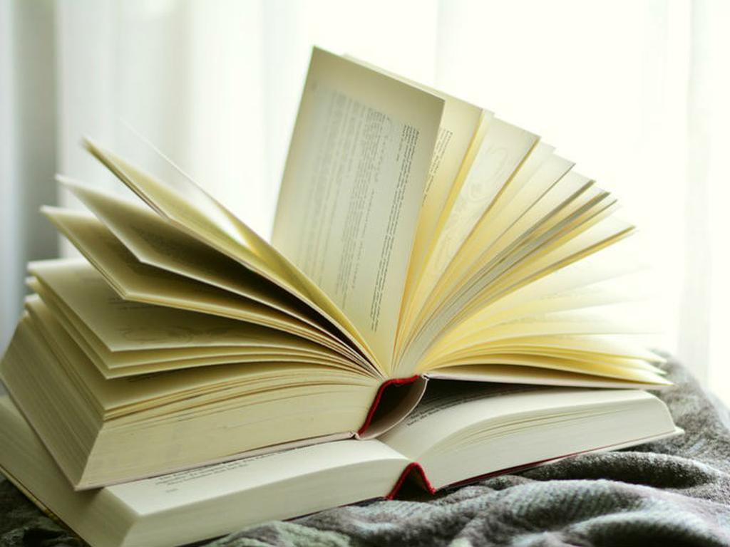 Te presentamos dos libros que te ayudarán en tan ardua pero increíble tarea. Foto: Pixabay