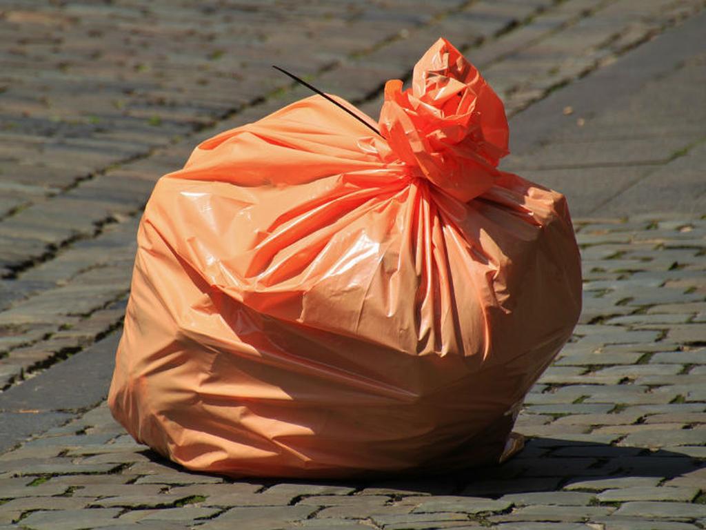 El Congreso de la Ciudad de México aprobó una iniciativa de ley para prohibir el uso de bolsas de plástico a partir de enero del 2020. Foto: Pixabay.