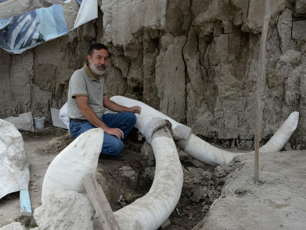 El INAH descubrió en el minicipio de Tultepec restos de mamuts. Foto: Cuartoscuro 