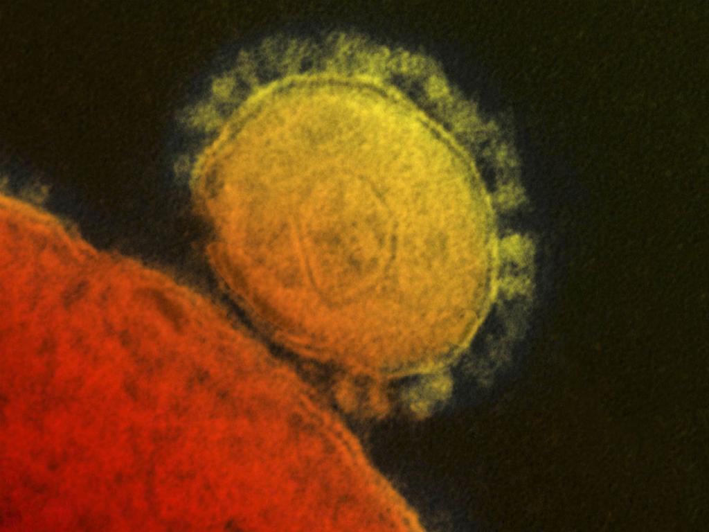 El gobierno de Japón dio a conocer el primer caso de infección por un nuevo coronavirus. Foto: Reuters 