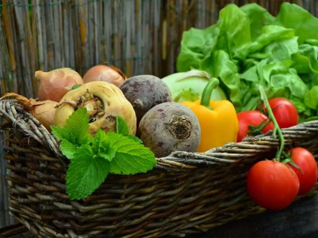¡Quédate en casa! Chinamperos entregan verduras a domicilio. Foto: Pixabay