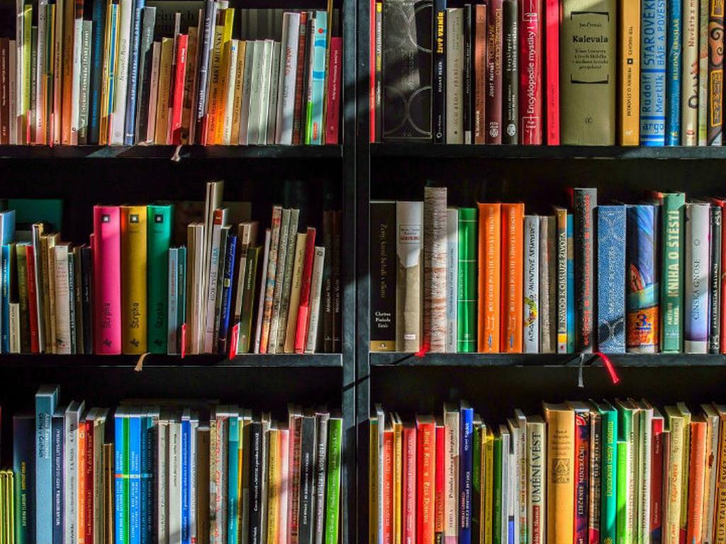 En los tiempos de cuarentena los libros también son nuestros aliados. Foto: Pixabay.