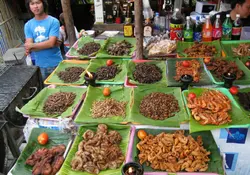 Insectos comestibles en Tailandia. Foto: AP