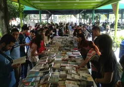 El gasto promedio del hogar para la compra de libros fue de 276 pesos al año y por persona fue de 72 pesos. Foto: Especial.