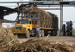 La Secretaría de Economía buscará que se entable el diálogo entre productores para evitar que se establezcan medidas precautorias al azúcar mexicana en EU. Foto: Especial