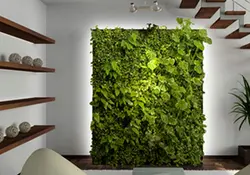 Muros verdes en las oficinas son más que decoración. Foto Especial