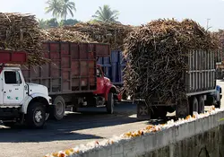 El Departamento de Comercio de Estados Unidos impuso cuotas compensatorias preliminares, que van de 2.99 a 17.01 por ciento, a las exportaciones de azúcar mexicana. Foto: Cuartoscuro