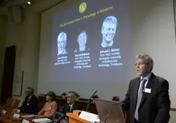 El científico británico-estadounidense John O'Keefe y los noruegos May-Britt Moser y Edvard Moser ganaron el premio Nobel 2014 de Medicina. Foto: Reuters