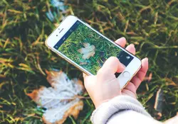 Los iPhone de Apple son teléfonos de gran calidad, pero igualmente padecen el problema de la batería. Foto: Pixabay.