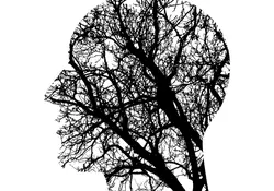 Los cerebros de las personas bilingües son capaces de compensar el daño causado por el Alzheimer. Foto: Pixabay