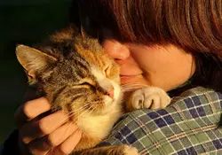 Este podría ser el mejor trabajo del mundo: ya existe una vacante para abrazar gatitos. Foto: Pixabay.