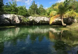 Los precios más elevados se encuentran en Quintana Roo. Comprar una casa en este estado tiene un precio medio de 16,250 pesos el metro cuadrado. Foto: Pixabay.