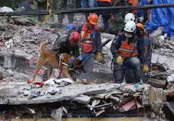 El sismo del 19 de septiembre de 2017 fue uno de los de mayor intensidad en la Ciudad de México. Foto: Archivo