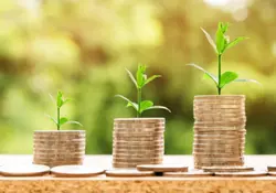 Análisis de rendimiento: ¿cuánto puede crecer tu dinero con diferentes instrumentos de inversión? Foto: Pixabay