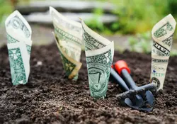 La ventaja que ofrece un fondo, es que su valuación es diaria, para sus inversionistas representa empezar a ganar u obtener nuevas tasas de mercado. Foto: Pixabay.