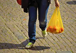 Las ciudades en México que prohibieron las bolsas de plástico. Foto: Pixabay