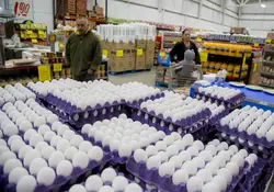 En distintas regiones del país, el precio del producto básico del huevo continúa siendo el más caro. Foto: Cuartoscuro