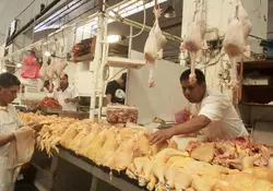 Este viernes la Secretaria de Economía (SE) anunció un aumento de 55 mil toneladas de importación para el pollo libre de cuotas de arancel. Foto: Cuartoscuro