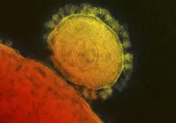 El gobierno de Japón dio a conocer el primer caso de infección por un nuevo coronavirus. Foto: Reuters 