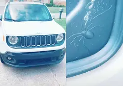 Un usuario descubrió una araña cerca del tanque de gasolina y de pronto varias personas que tienen un Jeep descubrieron más cosas en los suyos. Foto: *Tiktok @jackiefoster40