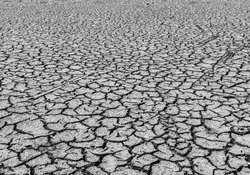 Sequía quiebra economía primaria de Chihuahua. Foto: Cuartoscuro