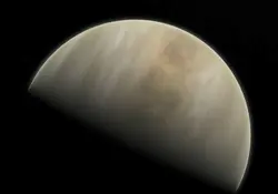 Probablemente, cualquier organismo de Venus sería muy diferente a sus primos de la Tierra. Foto: Reuters.