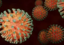 ¿Qué significa que el virus del covid haya mutado? Esto tienes que saber. Foto: Pixabay