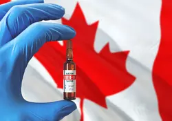 Las autoridades de salud del gobierno de Canadá aprobaron la vacuna contra covid-19 de Pfizer. Foto: iStock 