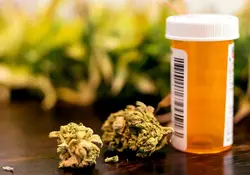 Las disposiciones del documento establecen las instituciones que autorizan, vigilan y regulan la producción del cannabis para uso medicinal. Foto: iStock