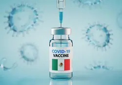 El proyecto que busca desarrollar una vacuna contra covid-19 en México podría recibir el nombre de “Patria