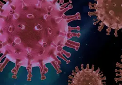 La Organización Mundial de la Salud (OMS) advirtió que el mundo enfrenta un mayor riesgo de contagio con la nueva variante “Delta” de covid-19, esto tras surgir en la India. Foto: Pixabay 