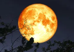 Se llama Luna de la Cosecha debido a las tradiciones agrícolas de Estados Unidos. Foto: iStock