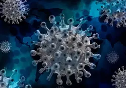 La variante ómicron del coronavirus se ha extendido a alrededor de un tercio de los estados de Estados Unidos. Foto: Pixabay 
