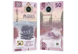 Banxico dio a conocer que el billete de 50 pesos, que tiene como modelo un ajolote e imágenes de la fundación de Tenochtitlán, ganó el Premio al Billete de Banco 2021. Foto: Banxico 
