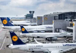 La compañía alemana descartó operar a mediano plazo desde y hacia el nuevo Aeropuerto Internacional Felipe Ángeles (AIFA). En imagen: aviones de Lufthansa en Frankfurt, Alemania. Foto: iStock